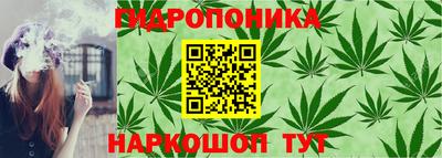 прущие грибы Чебаркуль