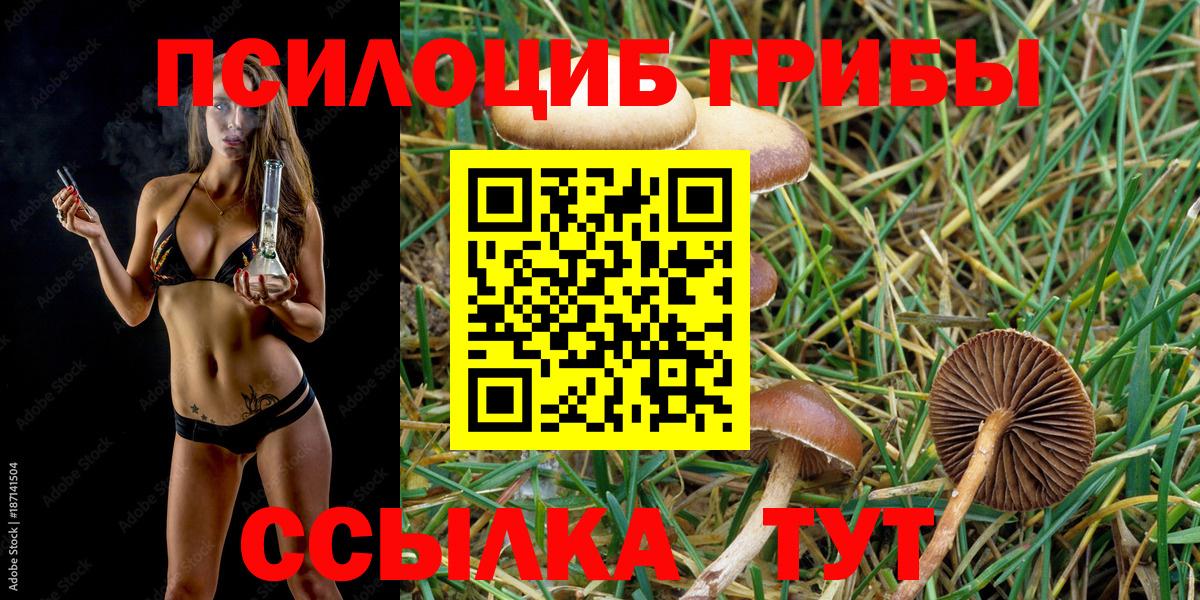 Псилоцибиновые грибы прущие грибы  Галлюциногенные грибы GOLDEN TEACHER  Вход с VPN  Аша 